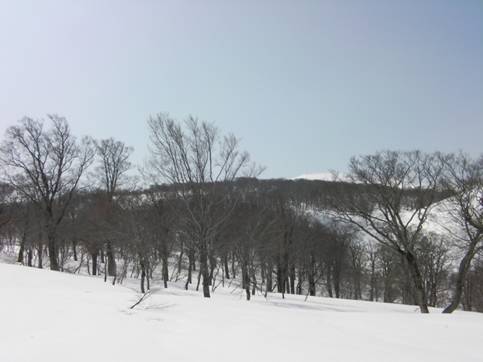 D:\�}�C�h�L�������g\Desktop\�V�����t�H���_\farfrom 1160m to asakusadake.JPG