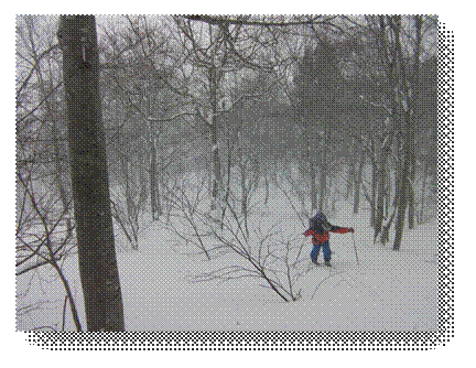 takamoriyama_topplateau_alt1000