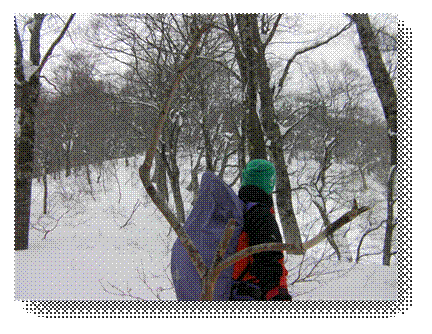 takamoriyama_topplateau_alt980