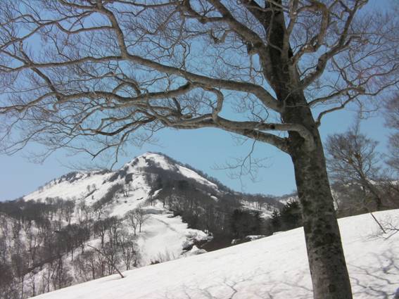 C:\Users\mizukami\Pictures\201 �R\2010\10.5.3�V��p�͎�R\SANY2461.JPG