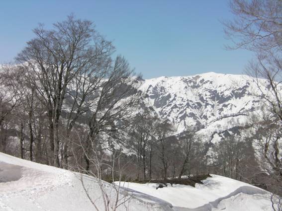 C:\Users\mizukami\Pictures\201 �R\2010\10.5.3�V��p�͎�R\SANY2464.JPG