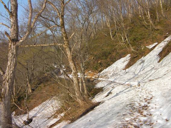 C:\Users\mizukami\Pictures\201 �R\2010\10.5.3�V��p�͎�R\SANY2495.JPG