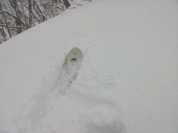 C:\Users\mizukami\Pictures\201 �R\2011�R\11.1.10�A�c���m��\SANY2861.JPG