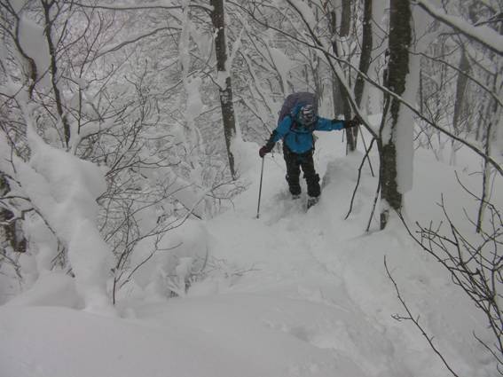 C:\Users\mizukami\Pictures\201 �R\2011�R\11.1.10�A�c���m��\SANY2862.JPG