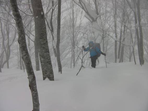 C:\Users\mizukami\Pictures\201 �R\2011�R\11.1.10�A�c���m��\SANY2872.JPG