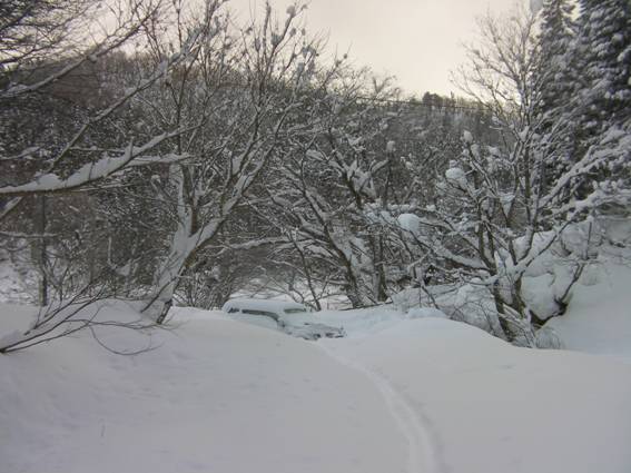 C:\Users\mizukami\Pictures\201 �R\2011�R\11.1.10�A�c���m��\SANY2879.JPG