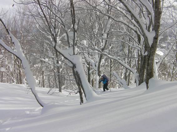 C:\Users\mizukami\Pictures\201 �R\2011�R\11.1.12��q�R\SANY2830.JPG