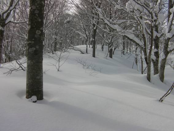 C:\Users\mizukami\Pictures\201 �R\2011�R\11.1.12��q�R\SANY2831.JPG