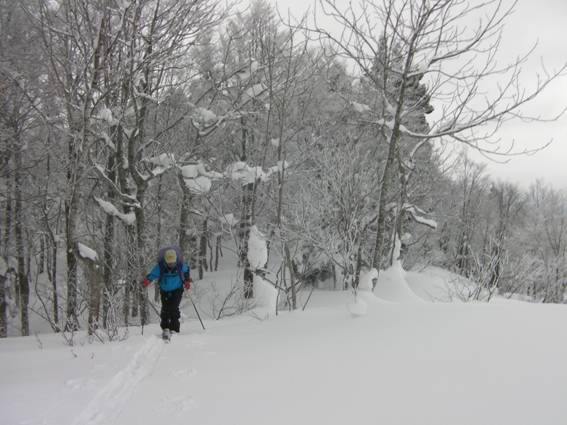 C:\Users\mizukami\Pictures\201 �R\2011�R\11.1.12��q�R\SANY2835.JPG