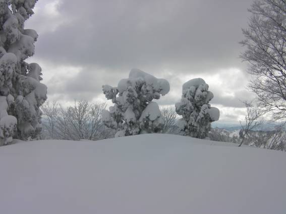 C:\Users\mizukami\Pictures\201 �R\2011�R\11.1.12��q�R\SANY2836.JPG