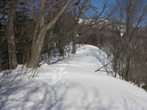 C:\Users\mizukami\Pictures\201 �R\2011�R\11.2.20��ˎR\SANY2985.JPG