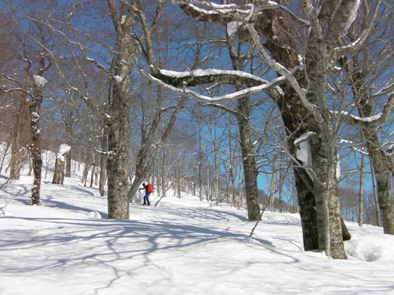 C:\Users\mizukami\Pictures\201 �R\2011�R\11.2.20��ˎR\SANY2998.JPG