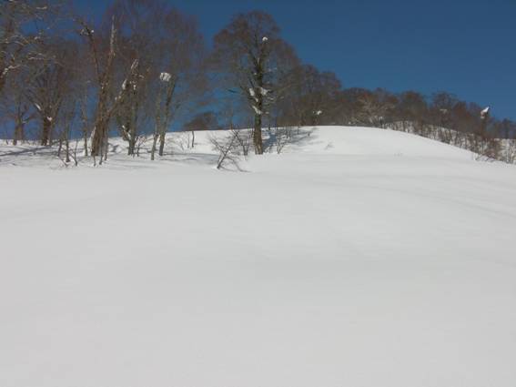 C:\Users\mizukami\Pictures\201 �R\2011�R\11.2.20��ˎR\SANY3000.JPG