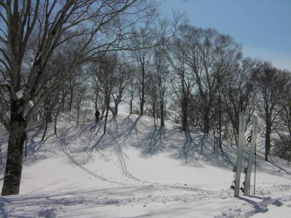 C:\Users\mizukami\Pictures\201 �R\2011�R\11.2.20��ˎR\SANY3009.JPG