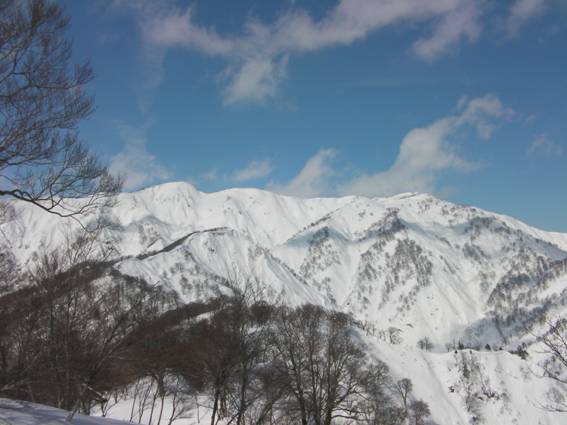 C:\Users\mizukami\Pictures\201 �R\2011�R\11.2.20��ˎR\SANY3014.JPG