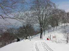 C:\Users\mizukami\Pictures\201 �R\2011�R\11.2.20��ˎR\SANY3012.JPG