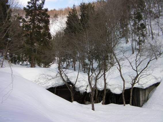 C:\Users\mizukami\Pictures\201 �R\2011�R\11.2.20��ˎR\SANY3021.JPG