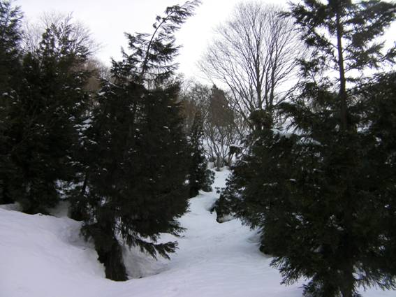 C:\Users\mizukami\Pictures\201 �R\2011�R\11.2.27�܃m�_�x\SANY3028.JPG