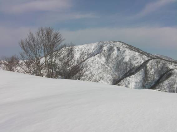 C:\Users\mizukami\Pictures\201 �R\2011�R\11.2.27�܃m�_�x\SANY3037.JPG