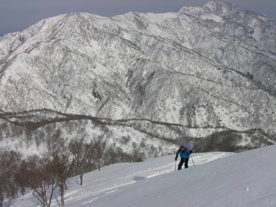 C:\Users\mizukami\Pictures\201 �R\2011�R\11.2.27�܃m�_�x\SANY3044.JPG