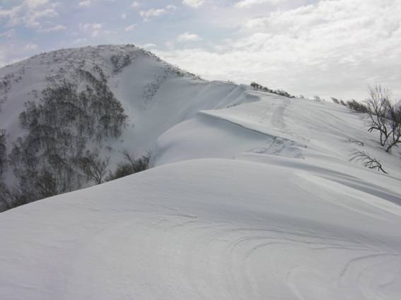 C:\Users\mizukami\Pictures\201 �R\2011�R\11.2.27�܃m�_�x\SANY3047.JPG