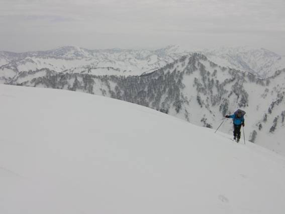 C:\Users\mizukami\Pictures\201 �R\2011�R\11.2.27�܃m�_�x\SANY3058.JPG