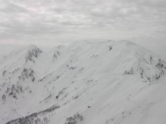 C:\Users\mizukami\Pictures\201 �R\2011�R\11.2.27�܃m�_�x\SANY3059.JPG