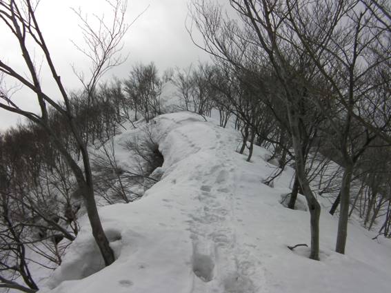 C:\Users\mizukami\Pictures\201 �R\2011�R\11.2.27�܃m�_�x\SANY3070.JPG