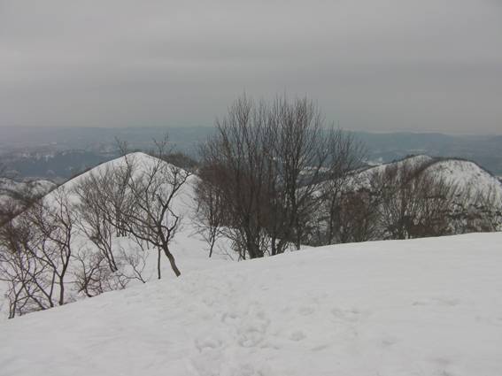 C:\Users\mizukami\Pictures\201 �R\2011�R\11.2.27�܃m�_�x\SANY3071.JPG