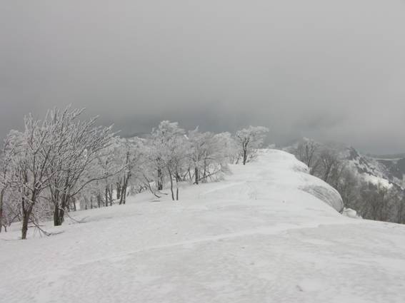 C:\Users\mizukami\Pictures\201 �R\2011�R\11.4.29���m�R\SANY3153.JPG