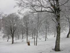 C:\Users\mizukami\Pictures\201 �R\2011�R\11.4.29���m�R\SANY3160.JPG