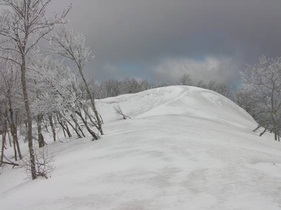 C:\Users\mizukami\Pictures\201 �R\2011�R\11.4.29���m�R\SANY3162.JPG