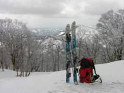 C:\Users\mizukami\Pictures\201 �R\2011�R\11.4.29���m�R\SANY3171.JPG