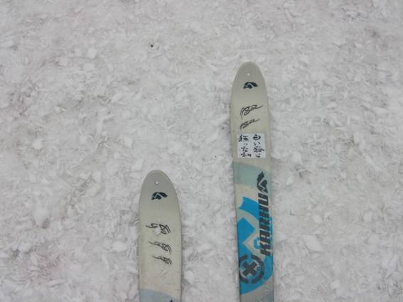 C:\Users\mizukami\Pictures\201 �R\2011�R\11.4.29���m�R\SANY3174.JPG