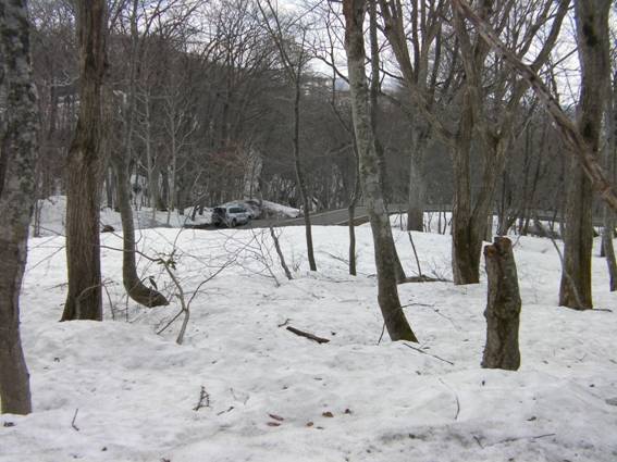 C:\Users\mizukami\Pictures\201 �R\2011�R\11.4.29���m�R\SANY3179.JPG