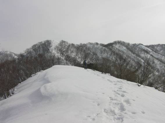 C:\Users\mizukami\Pictures\201 �R\2011�R\11.2.6�󑠎R\SANY2915.JPG