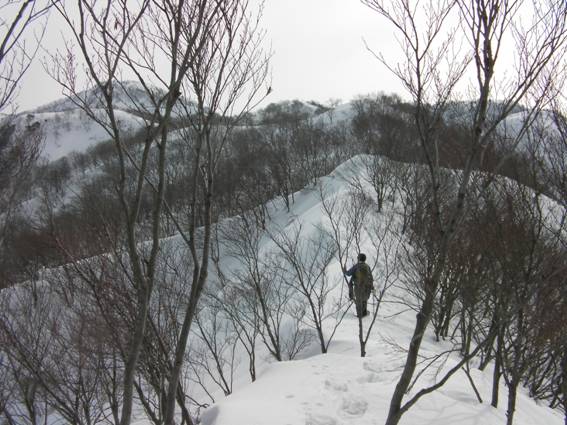 C:\Users\mizukami\Pictures\201 �R\2011�R\11.2.6�󑠎R\SANY2918.JPG