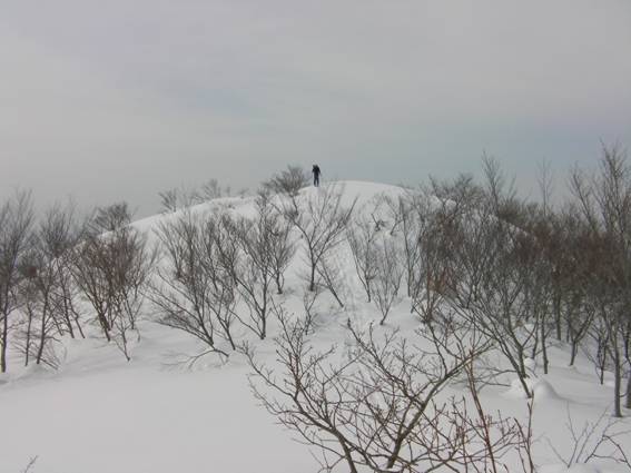 C:\Users\mizukami\Pictures\201 �R\2011�R\11.2.6�󑠎R\SANY2919.JPG