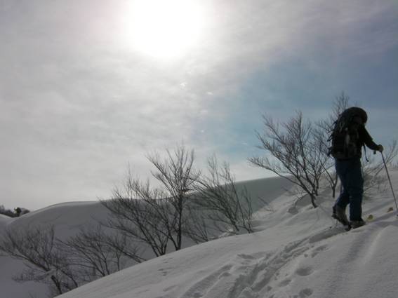 C:\Users\mizukami\Pictures\201 �R\2011�R\11.2.6�󑠎R\SANY2922.JPG