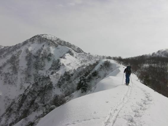 C:\Users\mizukami\Pictures\201 �R\2011�R\11.2.6�󑠎R\SANY2924.JPG