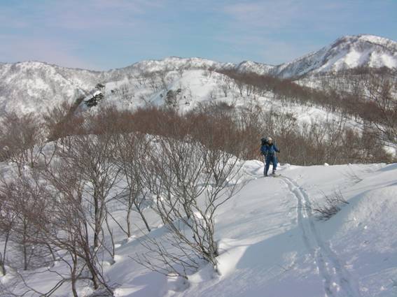 C:\Users\mizukami\Pictures\201 �R\2011�R\11.2.6�󑠎R\SANY2931.JPG