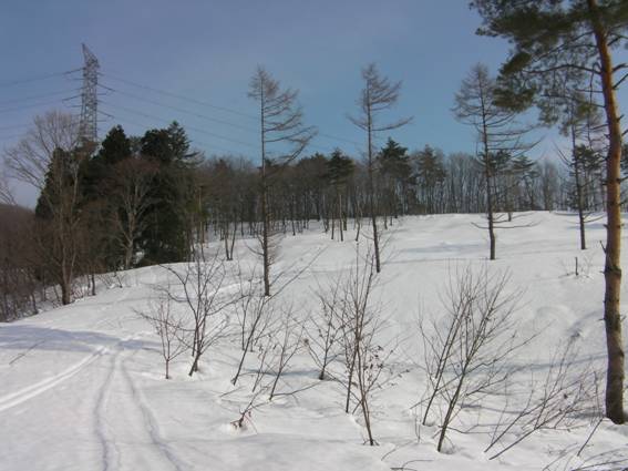 C:\Users\mizukami\Pictures\201 �R\2011�R\11.2.6�󑠎R\SANY2932.JPG