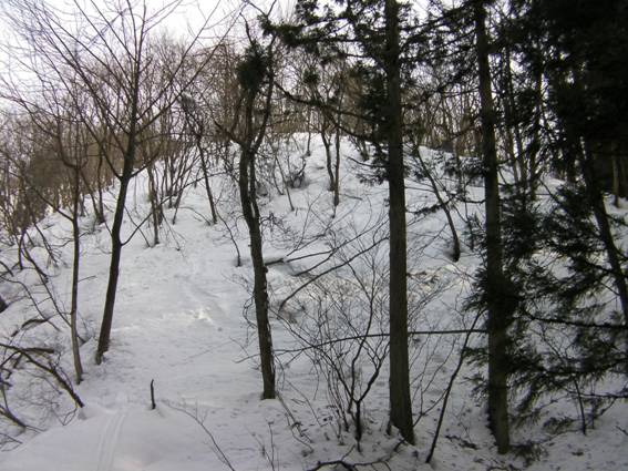 C:\Users\mizukami\Pictures\201 �R\2011�R\11.2.6�󑠎R\SANY2934.JPG