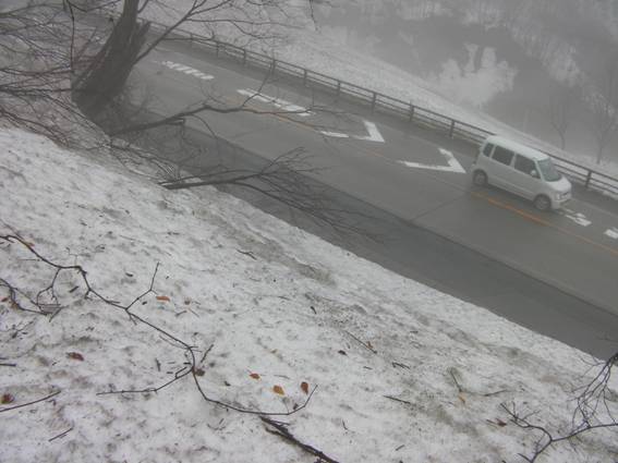 C:\Users\mizukami\Pictures\201 �R\2011�R\11.5.1~2�Ό����x\SANY3180.JPG