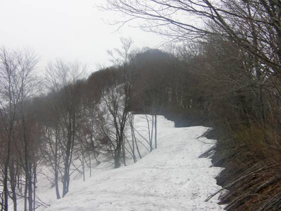 C:\Users\mizukami\Pictures\201 �R\2011�R\11.5.1~2�Ό����x\SANY3182.JPG