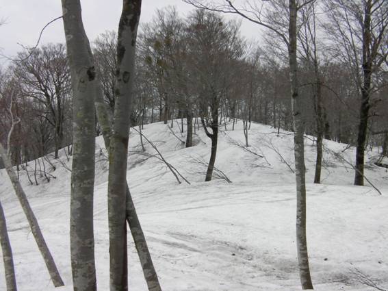 C:\Users\mizukami\Pictures\201 �R\2011�R\11.5.1~2�Ό����x\SANY3183.JPG