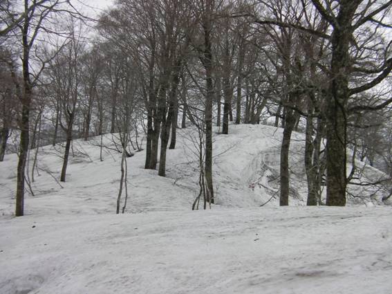 C:\Users\mizukami\Pictures\201 �R\2011�R\11.5.1~2�Ό����x\SANY3185.JPG