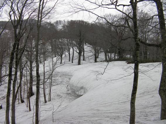 C:\Users\mizukami\Pictures\201 �R\2011�R\11.5.1~2�Ό����x\SANY3186.JPG