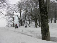 C:\Users\mizukami\Pictures\201 �R\2011�R\11.5.1~2�Ό����x\SANY3188.JPG