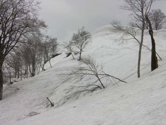 C:\Users\mizukami\Pictures\201 �R\2011�R\11.5.1~2�Ό����x\SANY3189.JPG